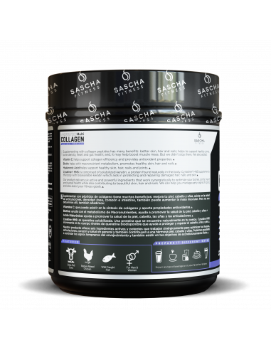 HYDROLYZED MULTI COLLAGEN CHOCOLATE